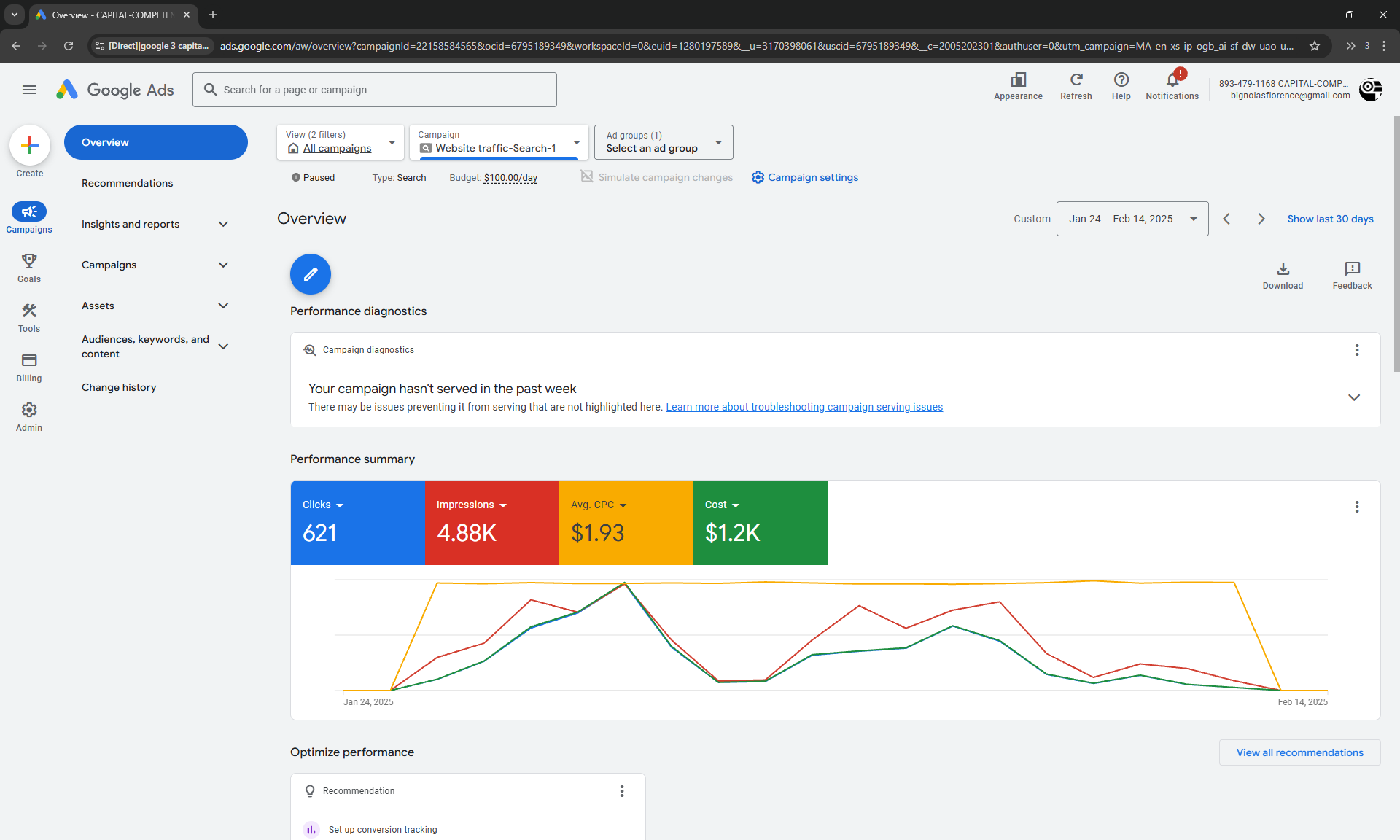 Google Ads Campaign Overview